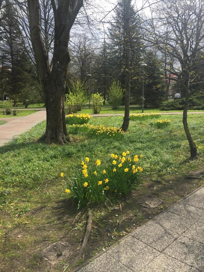 Mieszkanko Apartament *